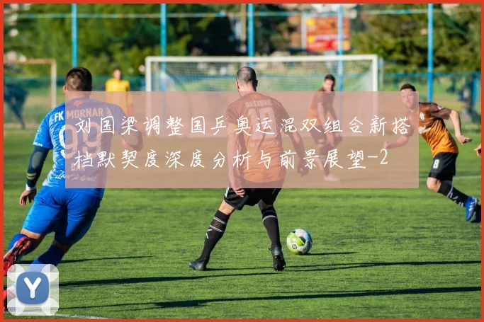 刘国梁调整国乒奥运混双组合新搭档默契度深度分析与前景展望