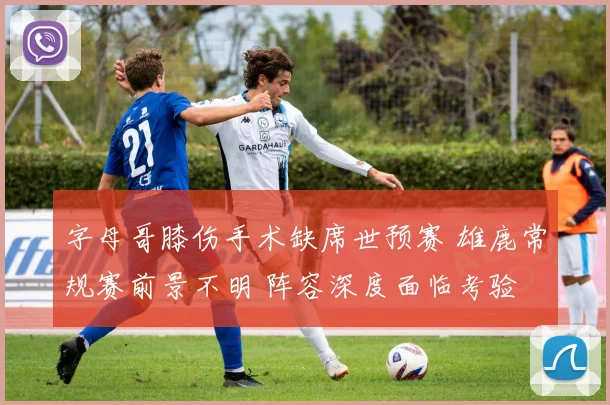 字母哥膝伤手术缺席世预赛 雄鹿常规赛前景不明 阵容深度面临考验